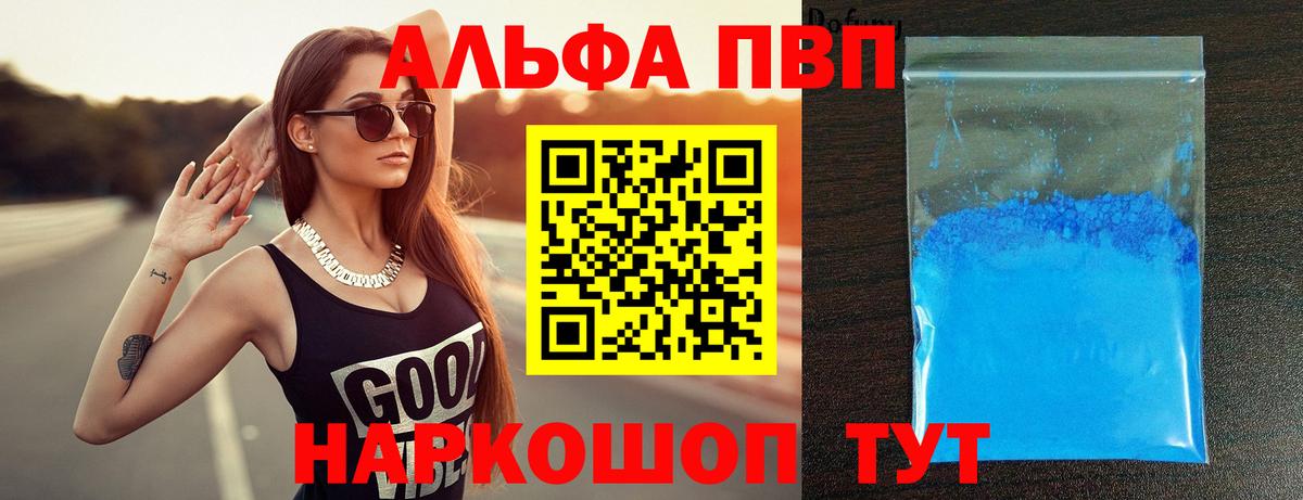 A PVP крисы CK Великий Новгород