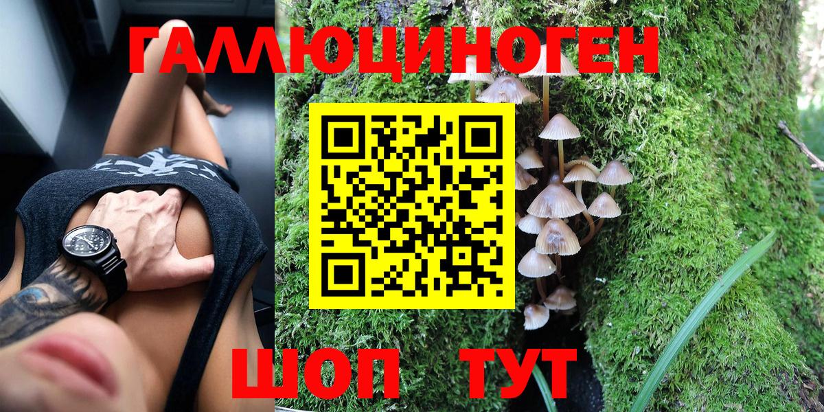Галлюциногенные грибы Magic Shrooms Великий Новгород