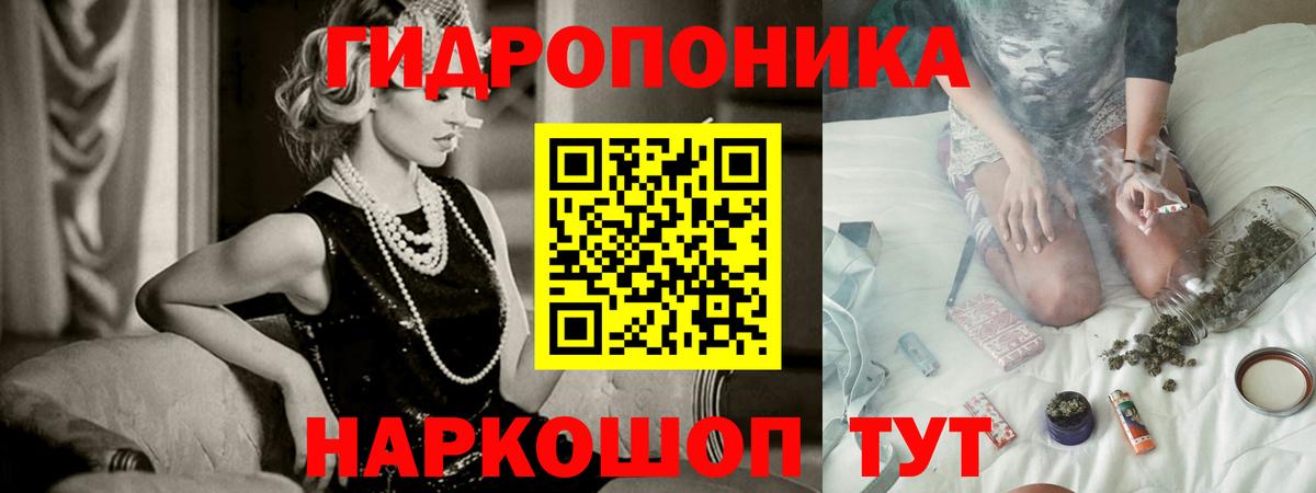 Шишки марихуана план  Бошки марихуана конопля  Великий Новгород  Вход с VPN 